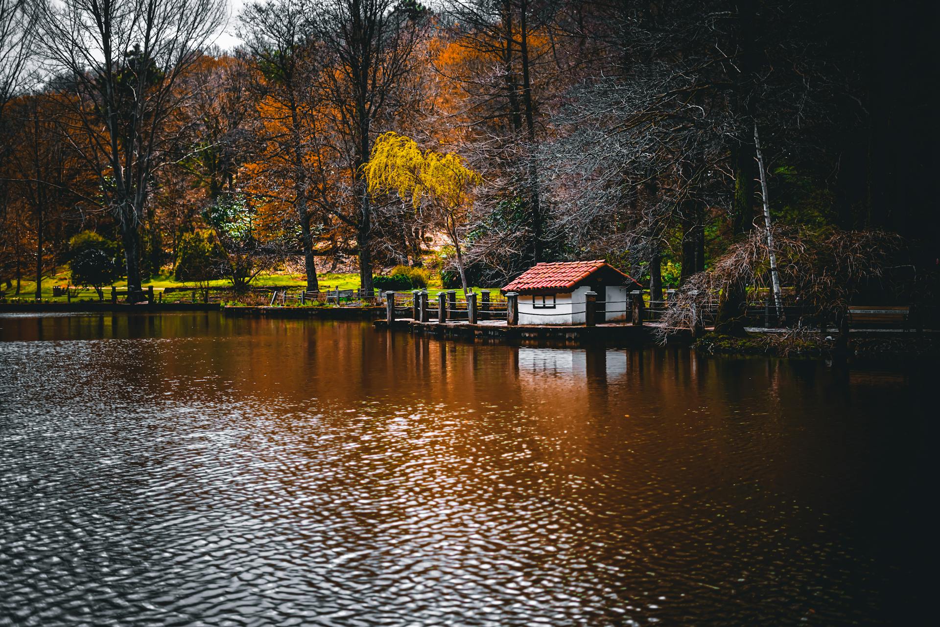 Atatürk Arboretumu: İstanbul’un Doğal Cenneti ve Keşfi