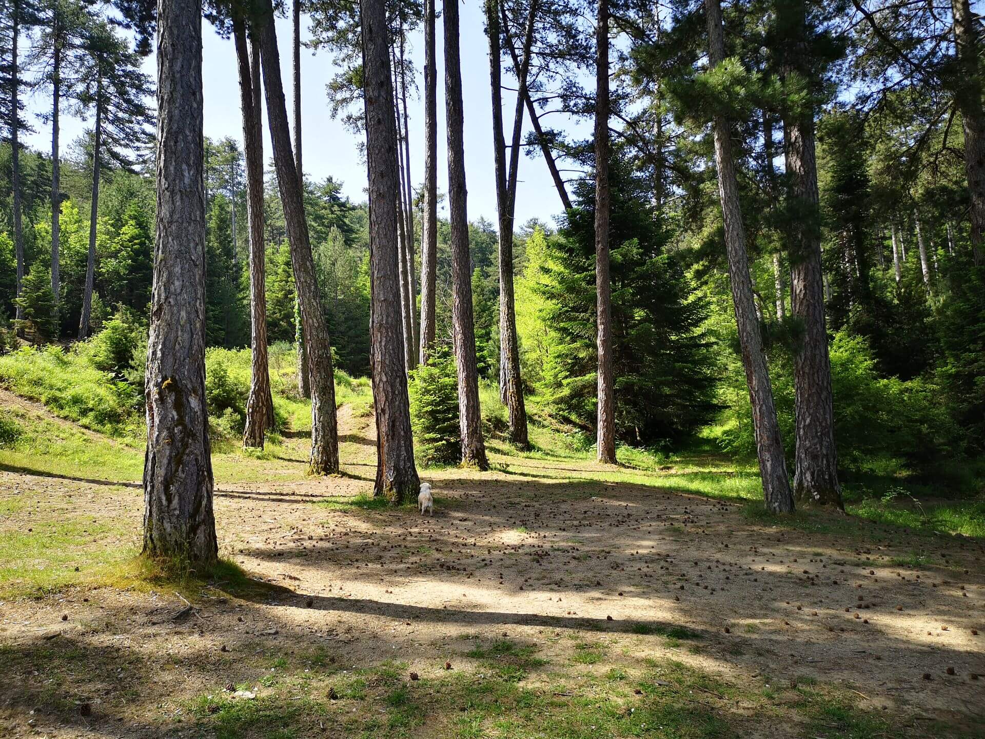İstanbul Avrupa Yakası’nın En Güzel Doğa Parkları Rehberi